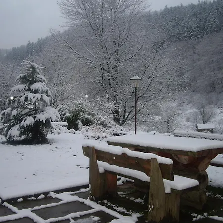 Auberge Du Ruxelier 3* Chenimenil