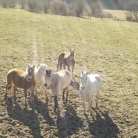 Hotel Auberge Du Ruxelier Cheniménil