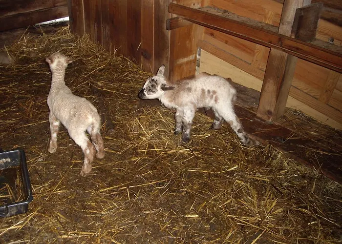 Auberge Du Ruxelier Hotel Cheniménil