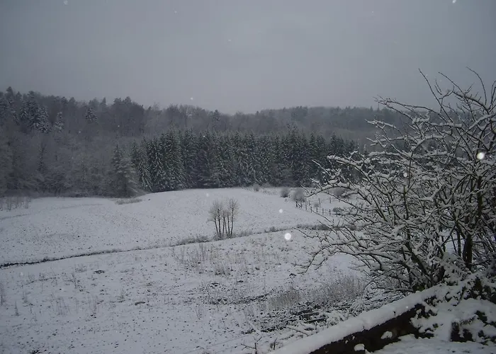 Auberge Du Ruxelier 3*