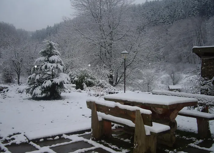 Auberge Du Ruxelier 3* Cheniménil