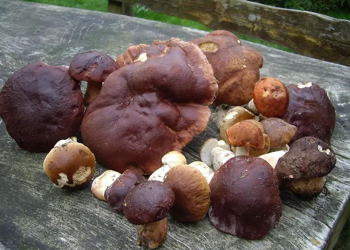 Auberge Du Ruxelier Hotel 3*