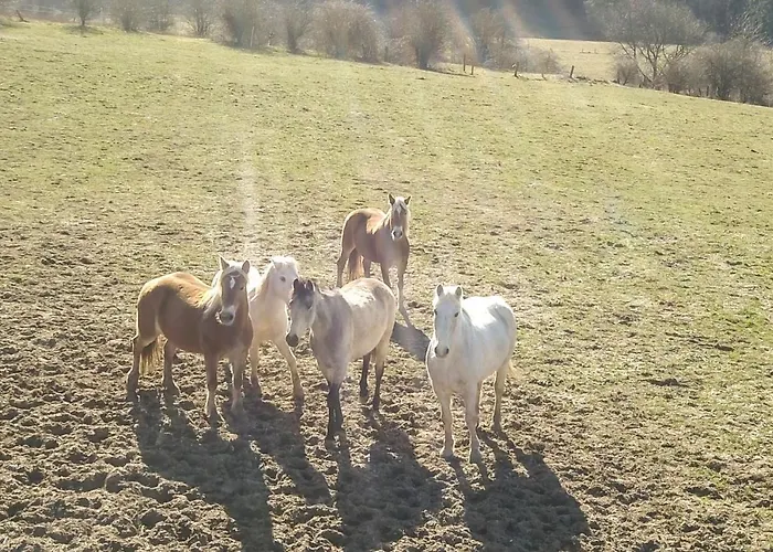 Hotel Auberge Du Ruxelier Cheniménil
