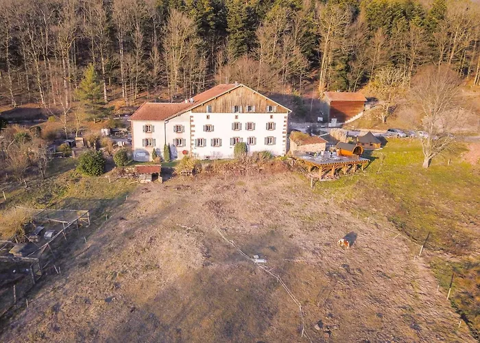 Auberge Du Ruxelier 3* Cheniménil